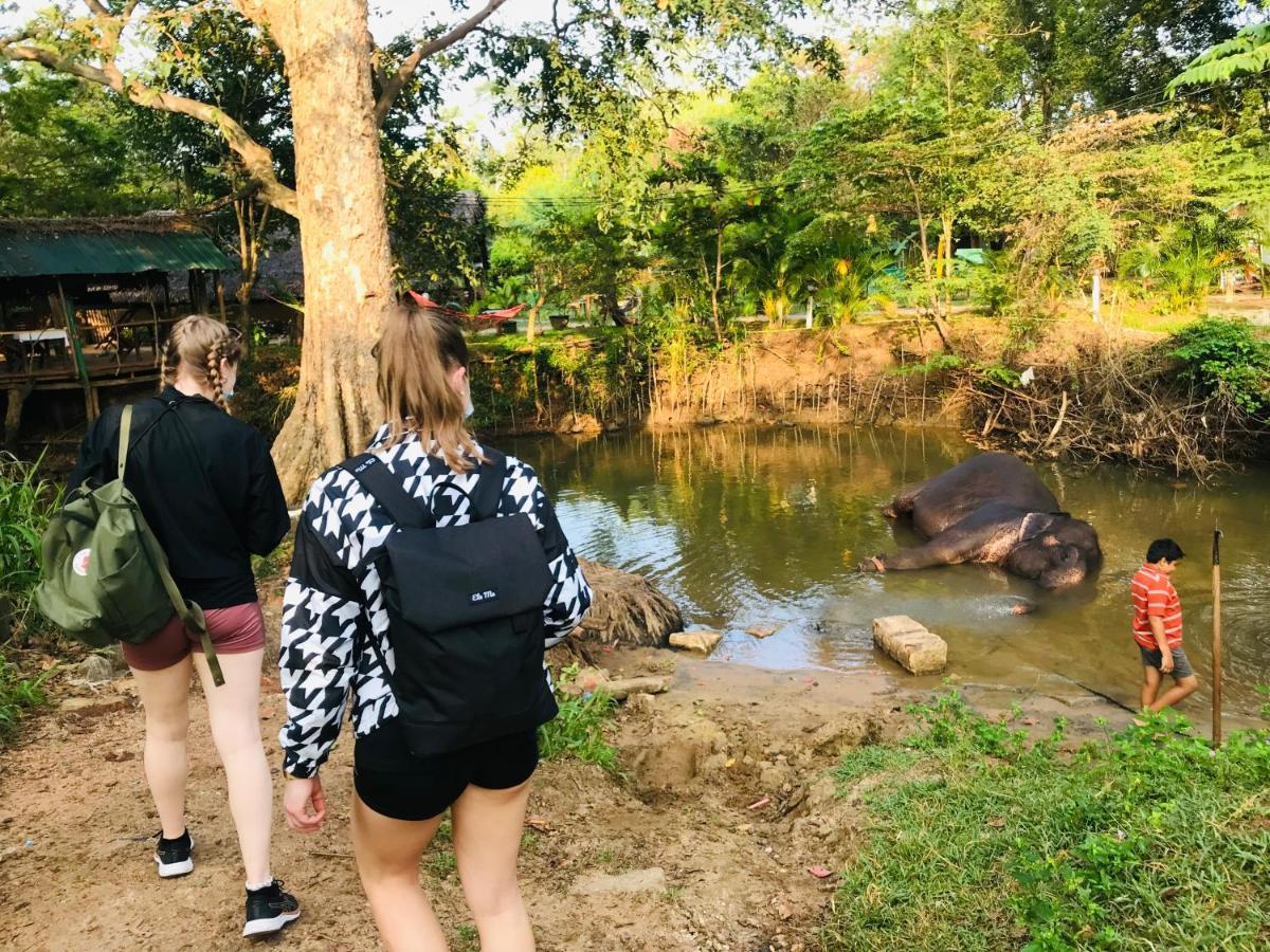 Dambulla Tourist Resort المظهر الخارجي الصورة
